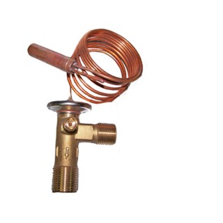 20700133  VALVULA EXPANSION CARRIER