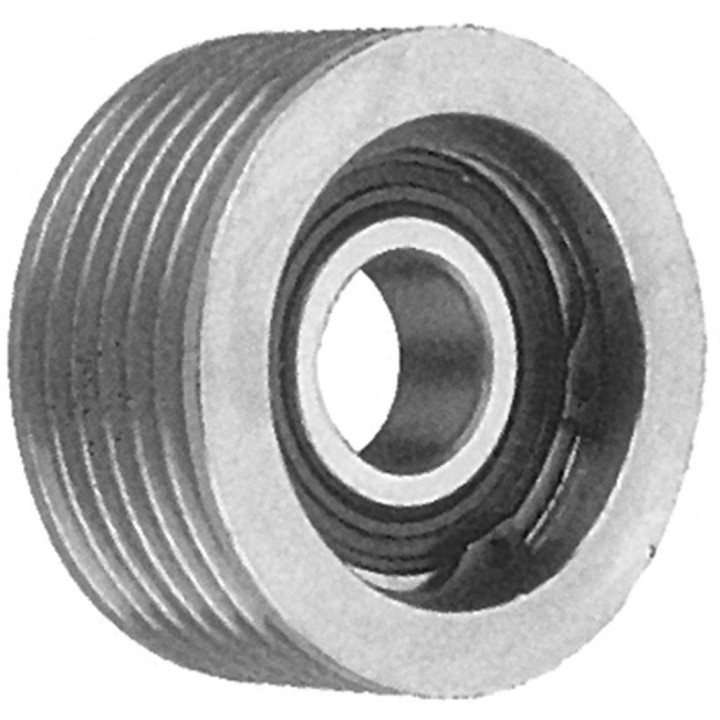 20152025  POLEA TENSORA PV6 58X17MM