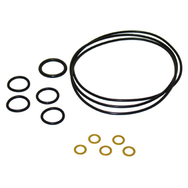 20151055  JUEGO JUNTAS Y TORICAS NP 10P17C