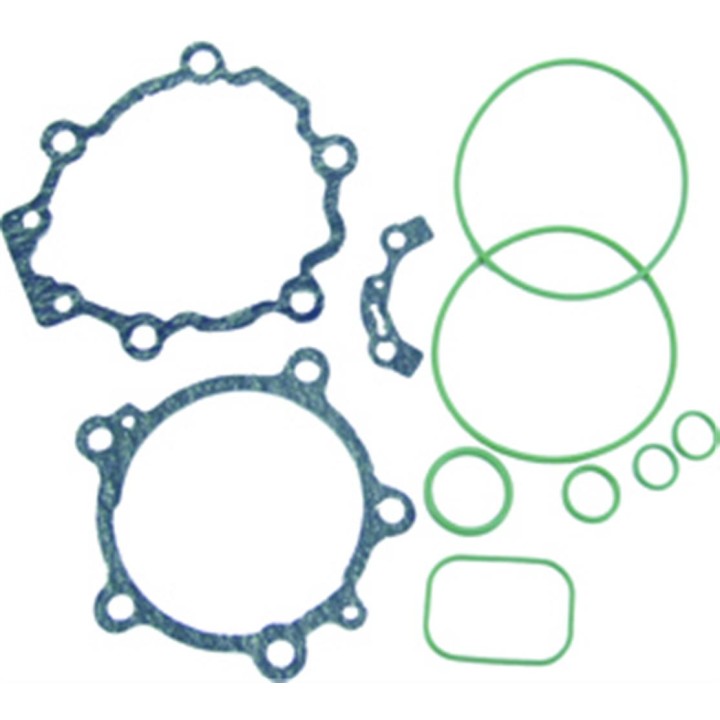 20151050  JUEGO JUNTAS Y TORICAS NP TV12C/TV12T