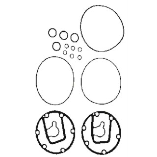 20151048  JUEGO JUNTAS Y TORICAS NP 6P134