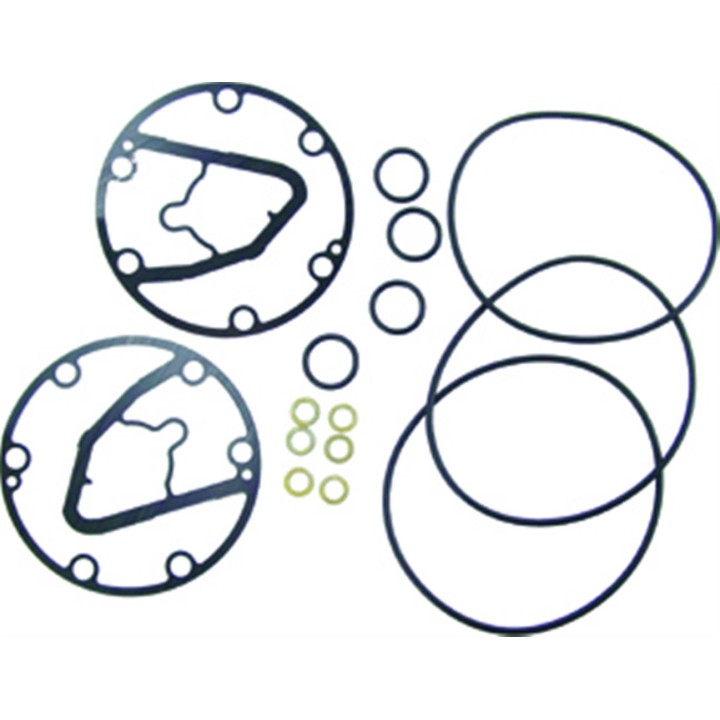 20151047  JUEGO JUNTAS Y TORICAS NP 6P127