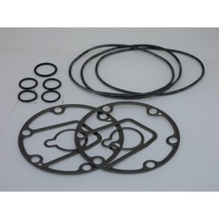 20151046  JUEGO JUNTAS Y TORICAS NP 6E171A