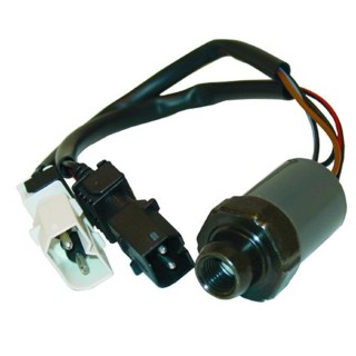 20123112  PRESOSTATO TRINARIO HEMBRA BMW SERIE 7 E32/SERIE 5