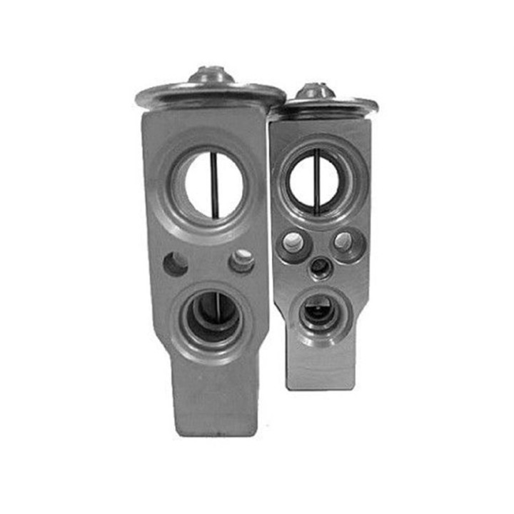 20121128  VALVULA EXP MONOBLOCK OPEL VECTRA B-SAAB 9.3