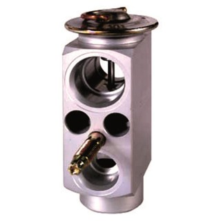 20121064  VALVULA EXP MONOBLOCK BMW SERIE 3 E46