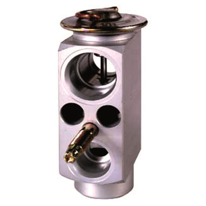 20121064  VALVULA EXP MONOBLOCK BMW SERIE 3 E46