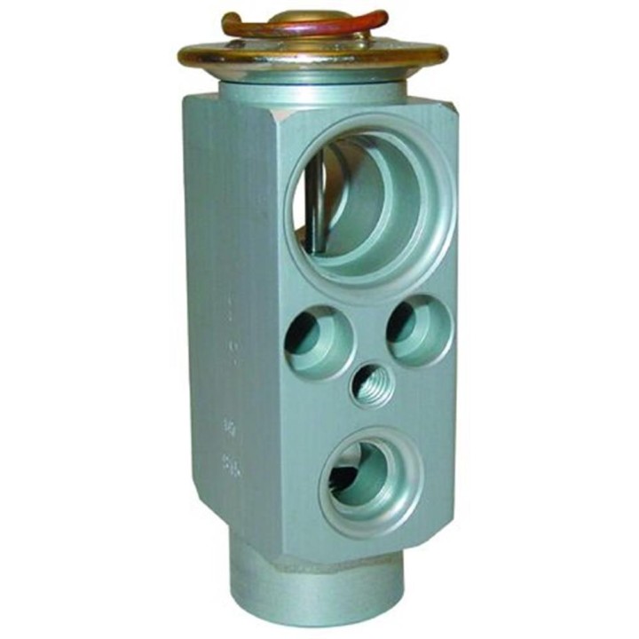 20121053  VALVULA EXP MONOBLOCK BMW SERIE 3 E36