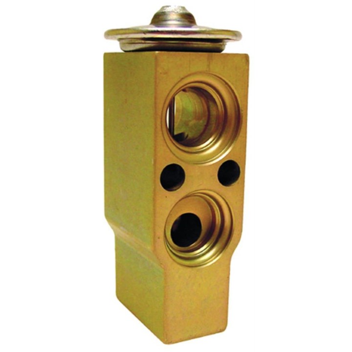 20121039  VALVULA EXP MONOBLOCK PEUGEOT 306-VW TRANSPORTER