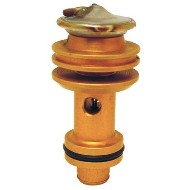 20121023  CAPSULA EXPANSION VALVULA V.I.R.