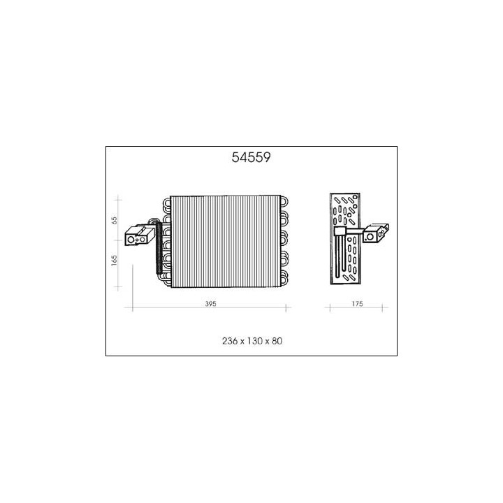 54559  EVAPORATOR VW POLO IV