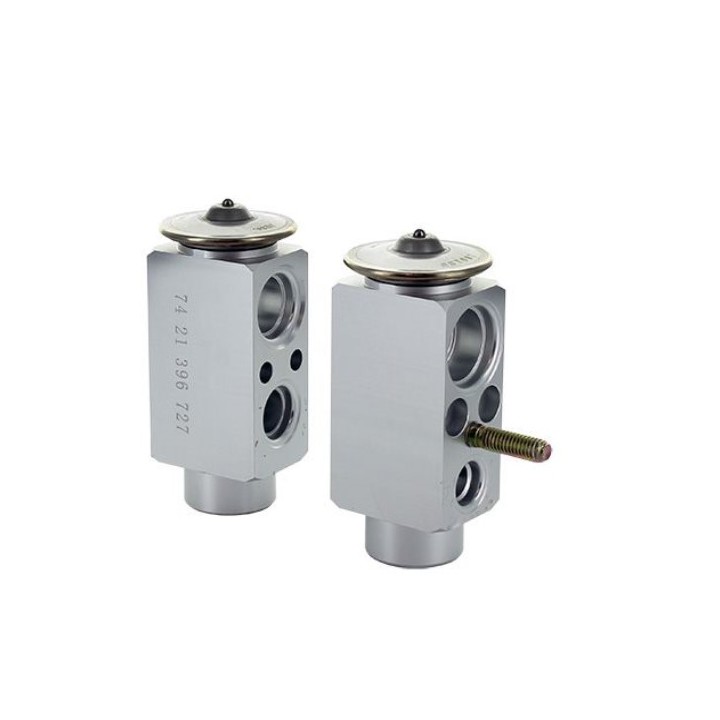 20121186  VALVULA EXP RENAULT MIDLUM-KERAX-PREMIUM