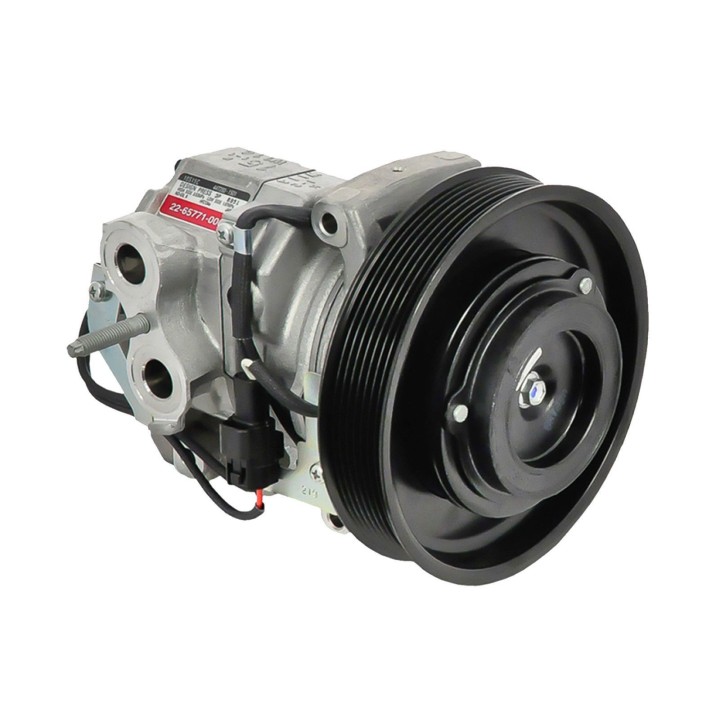 20134243  NP 10S15C A/D PV8 170MM 12V V-B (2D-1T)