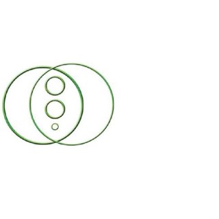 20151150  JUEGO JUNTAS TORICAS VI SCROLL-90V