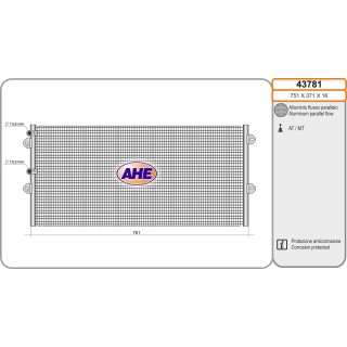43781  Bentley Flying Spur/GT/GTC 06-