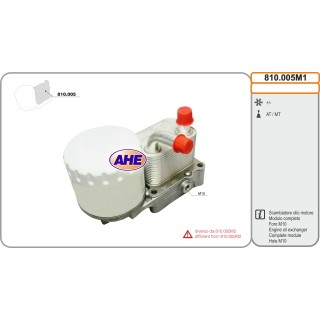 810005M1  Modulo Oilc. FORD Fiesta III-IV/Focus I-II/Transit