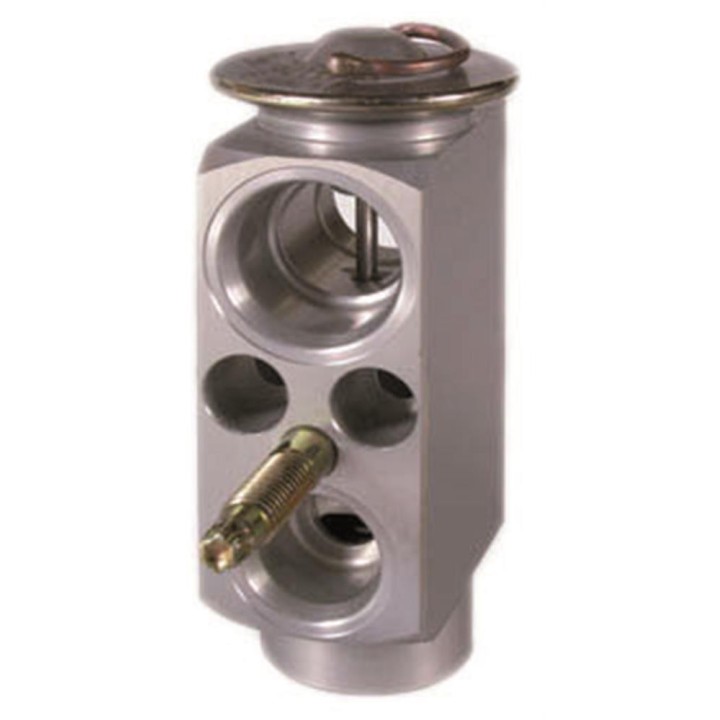 38705  VALVULA EXP MONOBLOCK BMW SERIE 3 E46