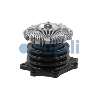 8126111  NUCLEO TURISMO / TODO TERRENO