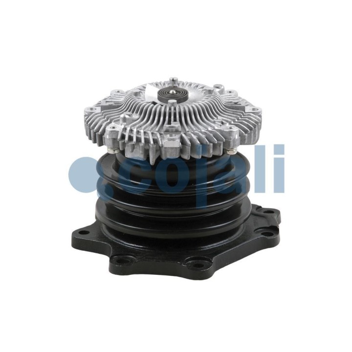 8126111  NUCLEO TURISMO / TODO TERRENO