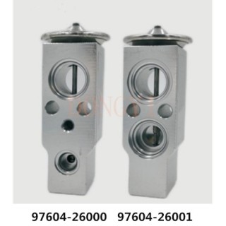 20121197  VALVULA EXP HYUNDAI SANTA FE I (9760426000)