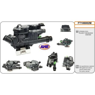 Fl  Term  CITROEN/PEUGEOT C3/C4/208/308/2008/3008/