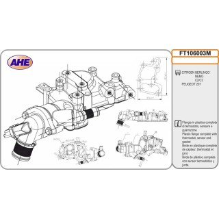 Fl  Term  CITROEN/PEUGEOT Berlingo/C2/C3/Nemo/207 