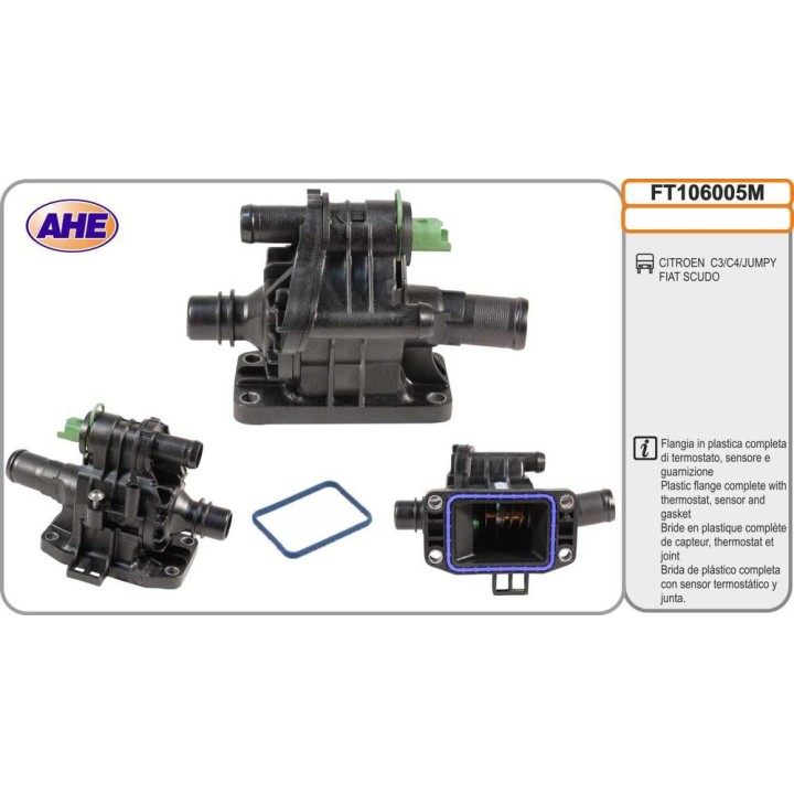 Fl  Term  CITROEN/FIAT C3/C4/Jumpy/Scudo 1 6HDi/1 