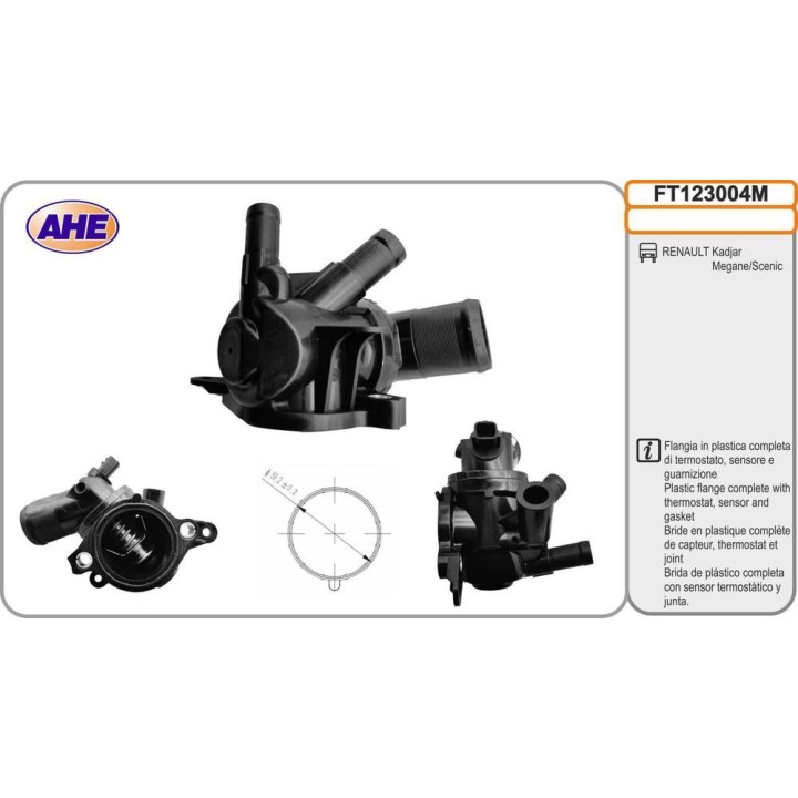 Fl  Term  RENAULT Kadjar/Megane/Scenic 1 2TCe 06 1