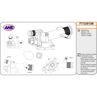 Fl  Term  NISSAN/RENAULT Micra/Clio/Kangoo/Megane