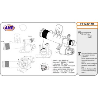 Fl  Term  NISSAN/RENAULT Qashqai/Clio/Kangoo/Sceni