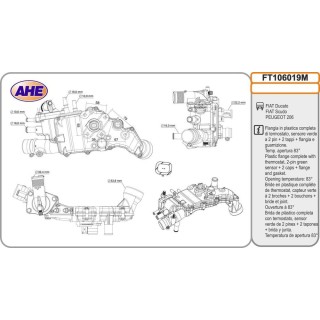 Fl  Term  FIAT/PEUGEOT Ducato/Scudo/206 1 9D/2 0HD