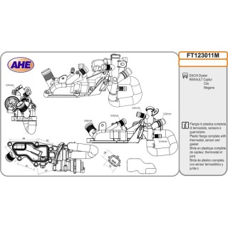 Fl  Term  DACIA/RENAULT Duster/Captur/Clio/Megane
