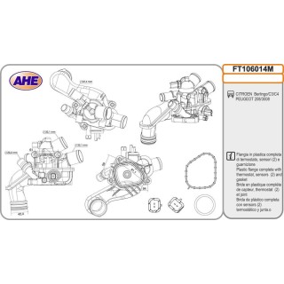 Fl  Term  CITROEN/PEUGEOT Berlingo/C3/C4/208/3008