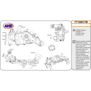 Fl  Term  CITROEN/PEUGEOT Berlingo/C4/Xsara/307 2 