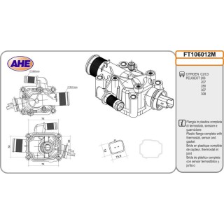 Fl  Term  CITROEN/PEUGEOT C2/C3/206/207/208/307/30