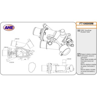Fl  Term  FORD/PEUGEOT Focus/Kuga/3008 2 0HDi/2 0T