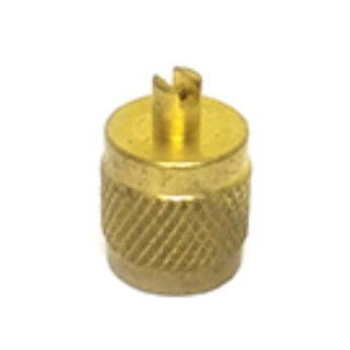 20204118 TAPON LATON 1/4" SAE