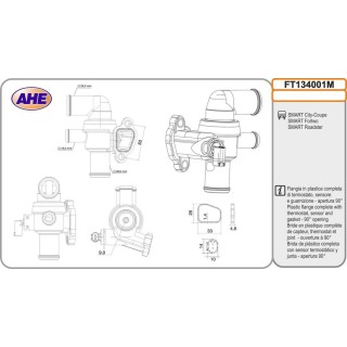 Fl  Term  SMART City-Coupe/Fortwo/Roadster 0 6/0 7