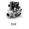 Egr